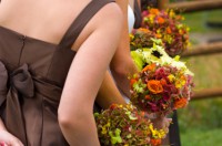 /album/fenykepgaleria/a2349673195-c2d5beb540-jpg/