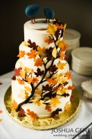 /album/fenykepgaleria/fall-wedding-cake-jpg1/